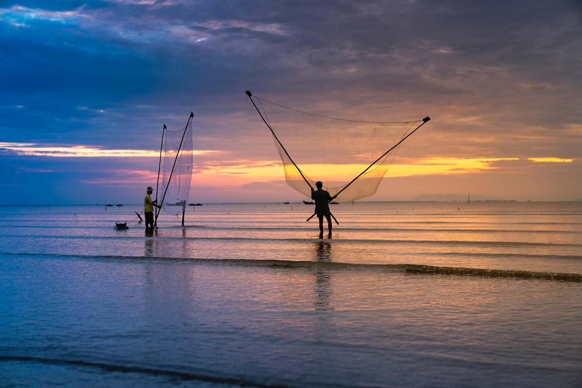 coarse_fishing