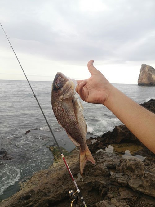 coarse_fishing_three