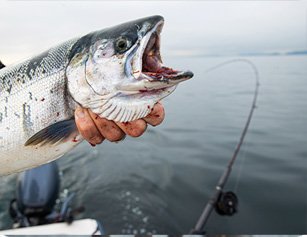 salman_fishing