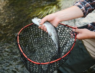 trout_fishing